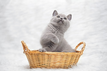 Similar image 10537374