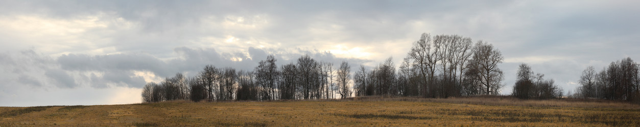 Similar image 10537375