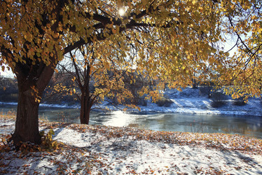 Similar image 10537408