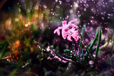 Similar image 10537413