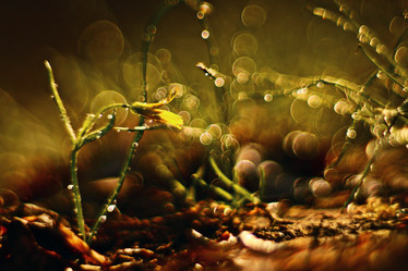 Similar image 10537426