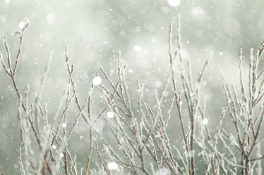 Similar image 10537473