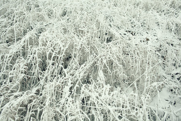 Similar image 10537475