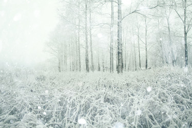 Similar image 10537476