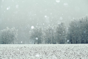 Similar image 10537479