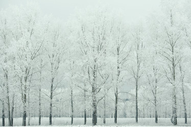 Similar image 10537481