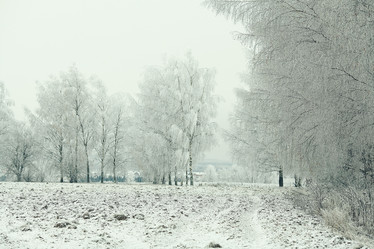 Similar image 10537482