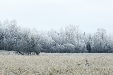 Similar image 10537491