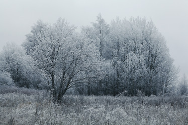 Similar image 10537493