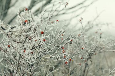 Similar image 10537495