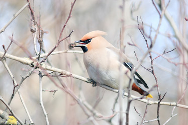 Similar image 10537515