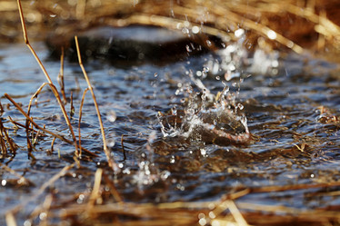 Similar image 10537518