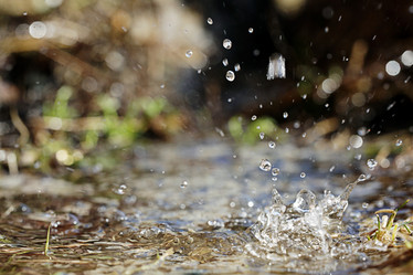 Similar image 10537520