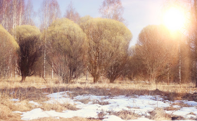 Similar image 10537524