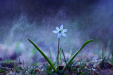 Similar image 10537616