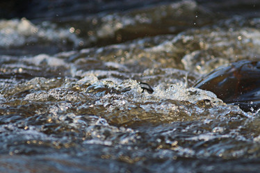 Similar image 10537617