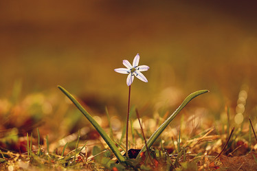 Similar image 10537620