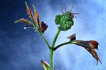 Similar image 10537621