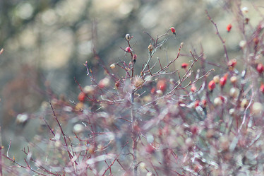 Similar image 10537622