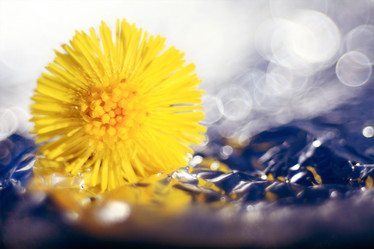 Similar image 10537636