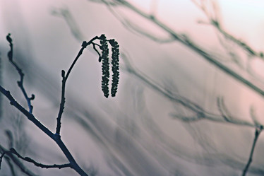 Similar image 10537656