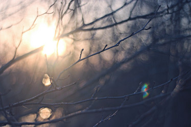 Similar image 10537660