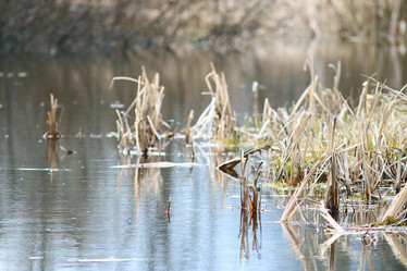 Similar image 10537672