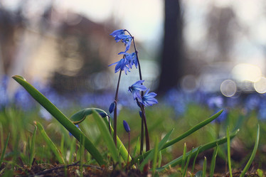 Similar image 10537678