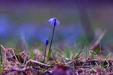 Similar image 10537679