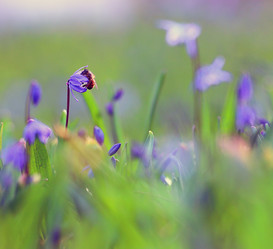 Similar image 10537682