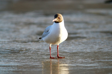 Similar image 10537724