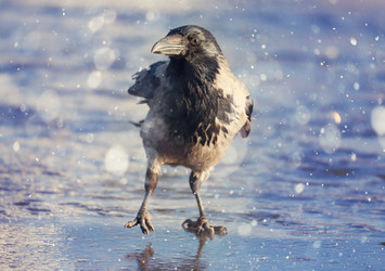 Similar image 10537747