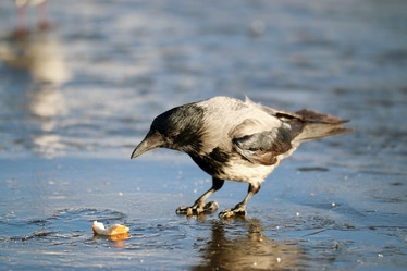 Similar image 10537748