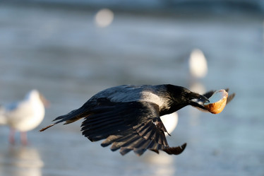 Similar image 10537749