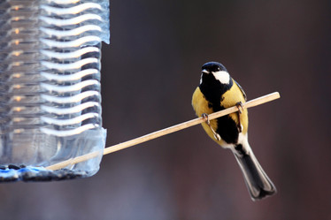 Similar image 10537751