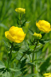 Similar image 10538162