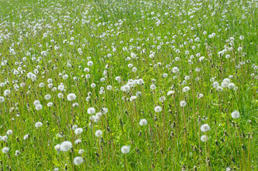 Similar image 10538163