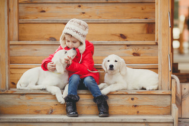 Similar image 10544338