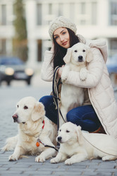 Similar image 10544349