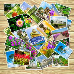 Similar image 10545912