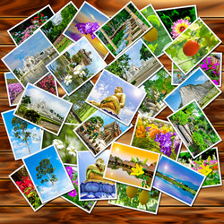 Similar image 10545914