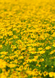 Similar image 10545917