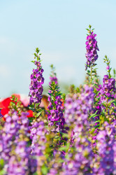 Similar image 10545920