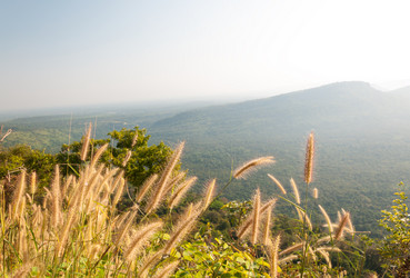 Similar image 10545922