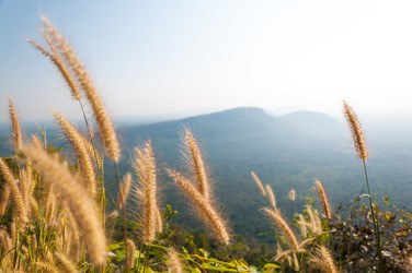 Similar image 10545924