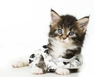 Similar image 10551680