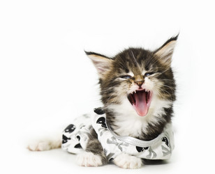 Similar image 10551681