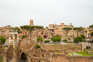 Similar image 10558073