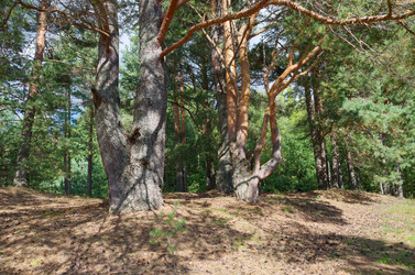 Similar image 10558084