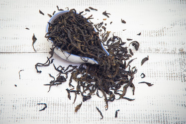 Similar image 10558114